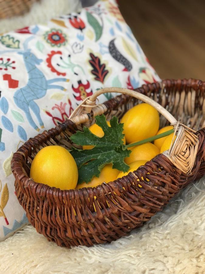 Rejaillir Bed & Breakfast Saint-Ours  Bagian luar foto